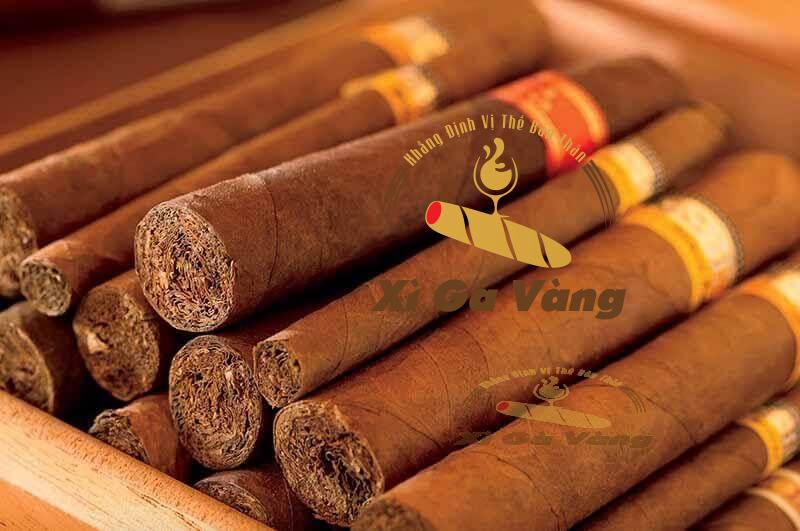 Xì gà chất lượng